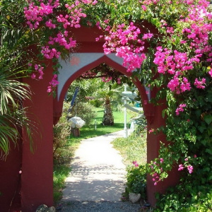 Eingang im Casa el Morisco